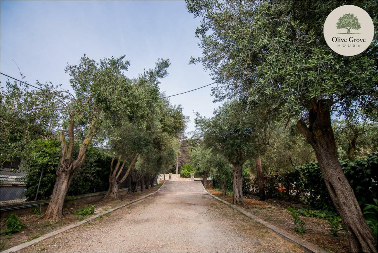 Вилла Olive Grove House Аргостолион Экстерьер фото